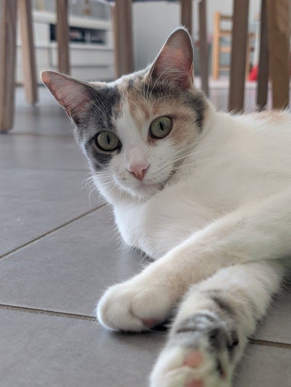Lilou